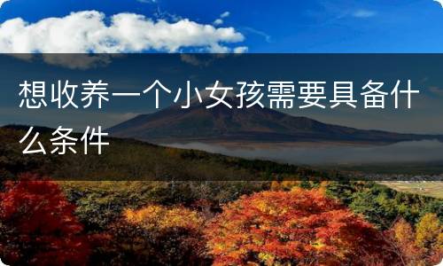 想收养一个小女孩需要具备什么条件
