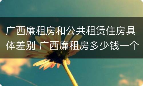 广西廉租房和公共租赁住房具体差别 广西廉租房多少钱一个月
