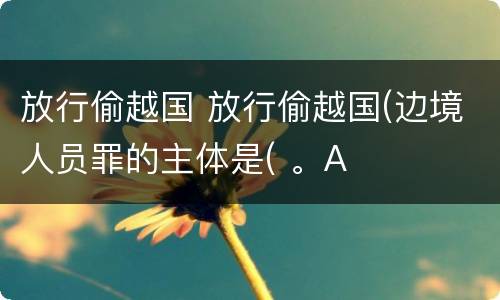 放行偷越国 放行偷越国(边境人员罪的主体是( 。A