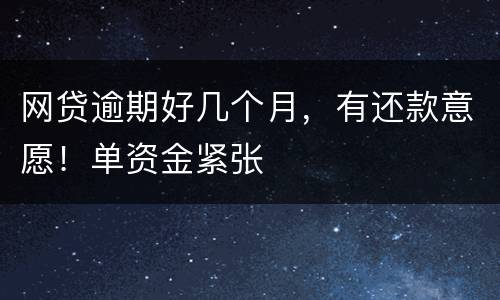 网贷逾期好几个月，有还款意愿！单资金紧张