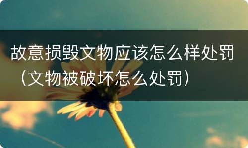 故意损毁文物应该怎么样处罚（文物被破坏怎么处罚）