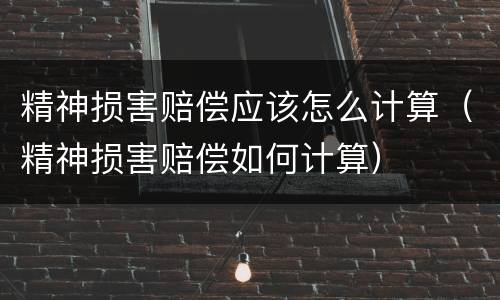 精神损害赔偿应该怎么计算（精神损害赔偿如何计算）