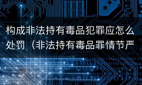 构成非法持有毒品犯罪应怎么处罚（非法持有毒品罪情节严重）