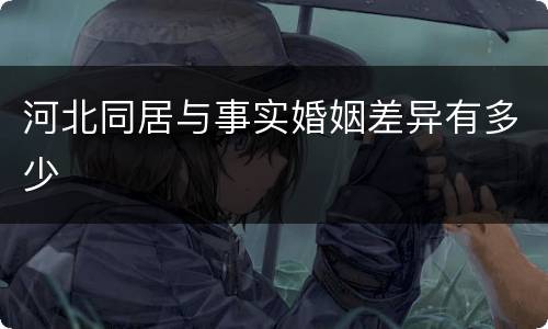 河北同居与事实婚姻差异有多少