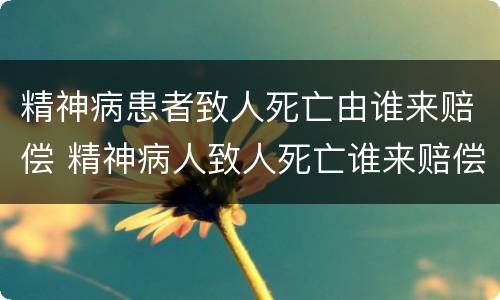 精神病患者致人死亡由谁来赔偿 精神病人致人死亡谁来赔偿