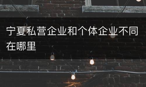 宁夏私营企业和个体企业不同在哪里