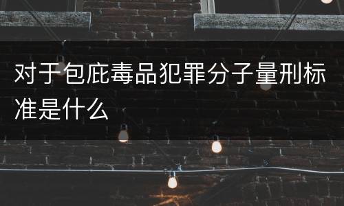 对于包庇毒品犯罪分子量刑标准是什么