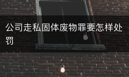 公司走私固体废物罪要怎样处罚