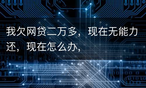 我欠网贷二万多，现在无能力还，现在怎么办，