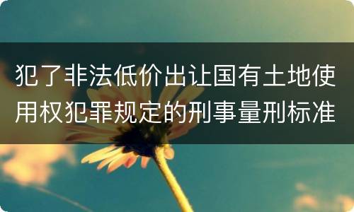 犯了非法低价出让国有土地使用权犯罪规定的刑事量刑标准是什么样的