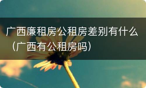 广西廉租房公租房差别有什么（广西有公租房吗）