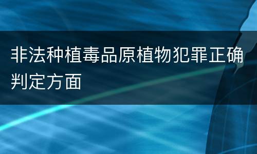 非法种植毒品原植物犯罪正确判定方面