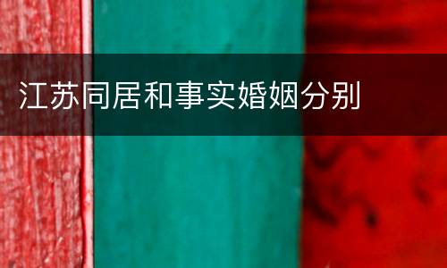 江苏同居和事实婚姻分别