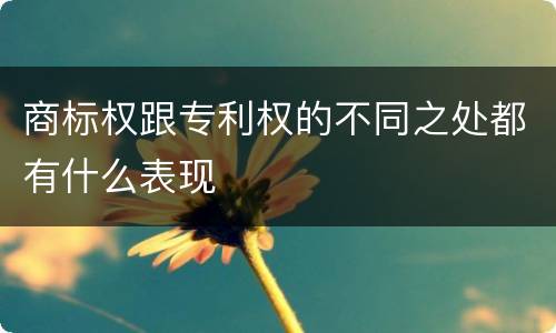 商标权跟专利权的不同之处都有什么表现