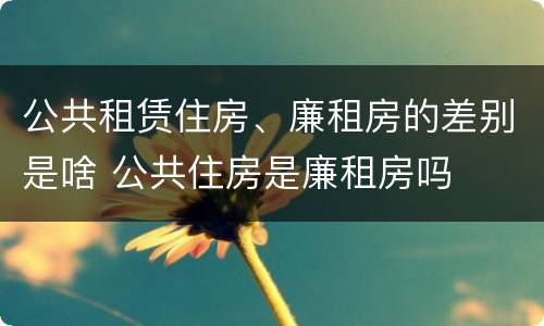公共租赁住房、廉租房的差别是啥 公共住房是廉租房吗