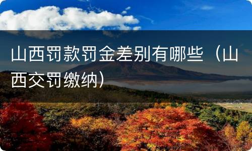 山西罚款罚金差别有哪些（山西交罚缴纳）