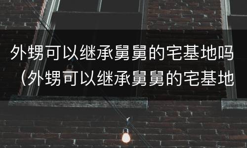 外甥可以继承舅舅的宅基地吗（外甥可以继承舅舅的宅基地吗知乎）