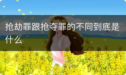 抢劫罪跟抢夺罪的不同到底是什么