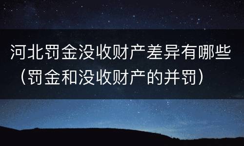 河北罚金没收财产差异有哪些（罚金和没收财产的并罚）