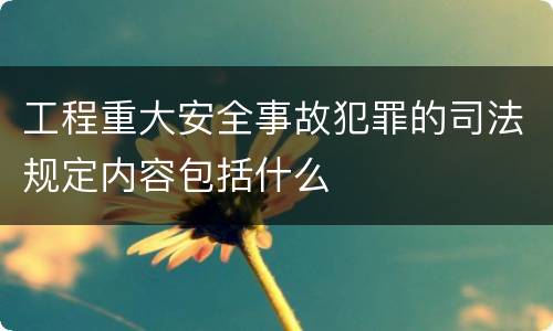 工程重大安全事故犯罪的司法规定内容包括什么