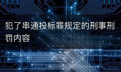 犯了串通投标罪规定的刑事刑罚内容