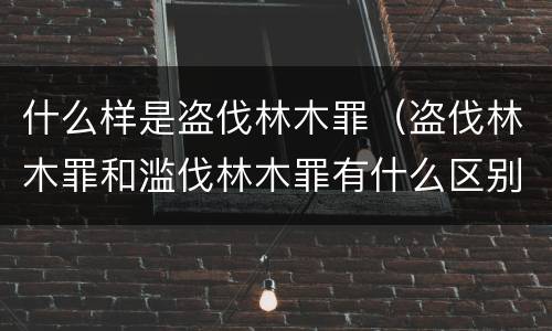 什么样是盗伐林木罪（盗伐林木罪和滥伐林木罪有什么区别）