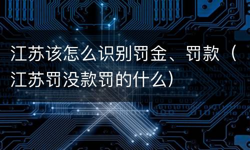 江苏该怎么识别罚金、罚款（江苏罚没款罚的什么）