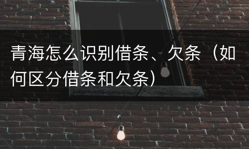 青海怎么识别借条、欠条（如何区分借条和欠条）