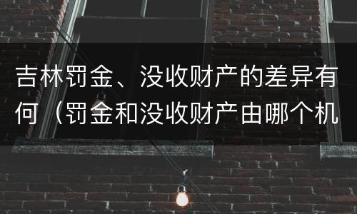 吉林罚金、没收财产的差异有何（罚金和没收财产由哪个机关执行）
