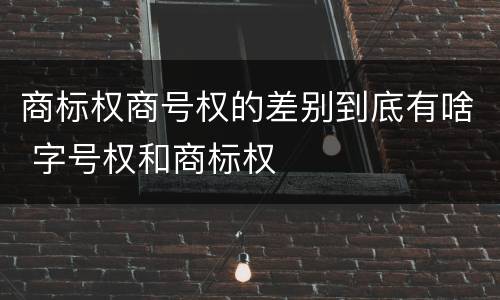 商标权商号权的差别到底有啥 字号权和商标权