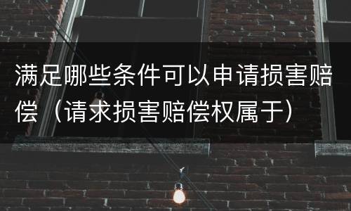 满足哪些条件可以申请损害赔偿（请求损害赔偿权属于）