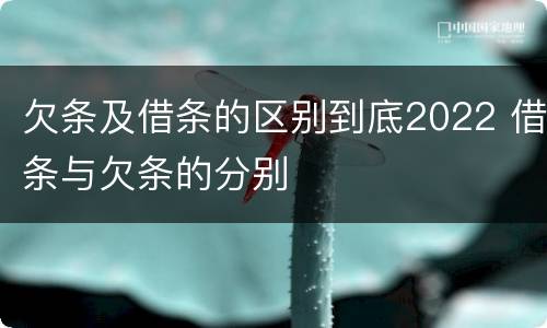 欠条及借条的区别到底2022 借条与欠条的分别