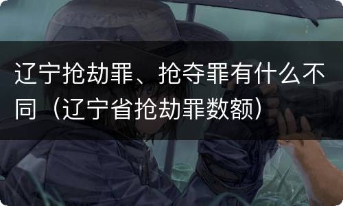 辽宁抢劫罪、抢夺罪有什么不同（辽宁省抢劫罪数额）