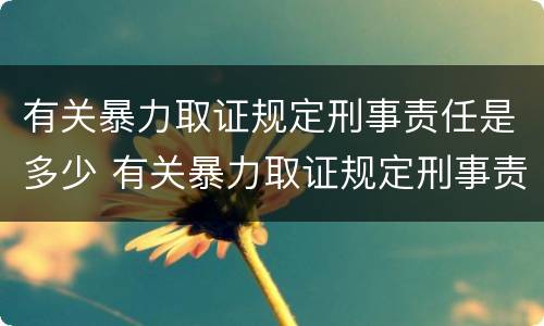 有关暴力取证规定刑事责任是多少 有关暴力取证规定刑事责任是多少条