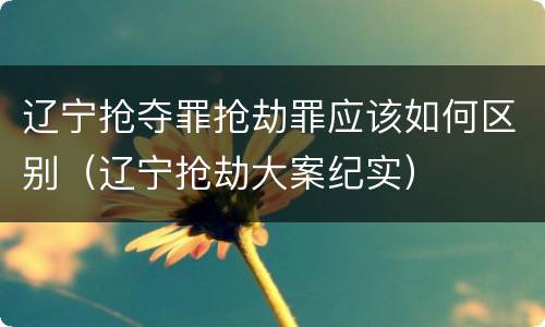 辽宁抢夺罪抢劫罪应该如何区别（辽宁抢劫大案纪实）