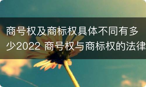 商号权及商标权具体不同有多少2022 商号权与商标权的法律冲突与解决