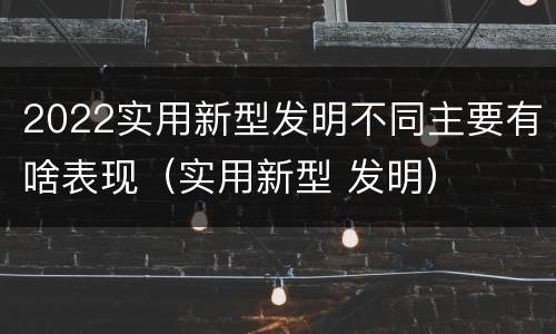 2022实用新型发明不同主要有啥表现（实用新型 发明）