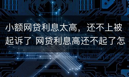 小额网贷利息太高，还不上被起诉了 网贷利息高还不起了怎么办