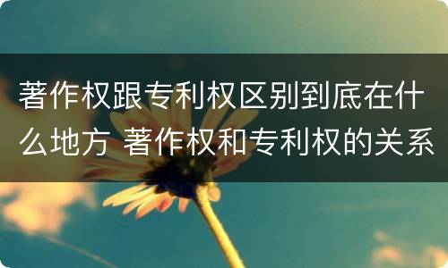 著作权跟专利权区别到底在什么地方 著作权和专利权的关系如何