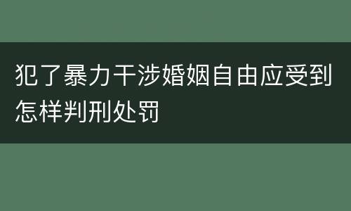犯了暴力干涉婚姻自由应受到怎样判刑处罚