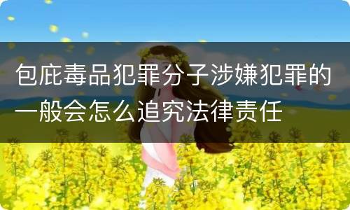 包庇毒品犯罪分子涉嫌犯罪的一般会怎么追究法律责任