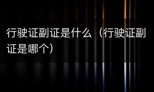 行驶证副证是什么（行驶证副证是哪个）