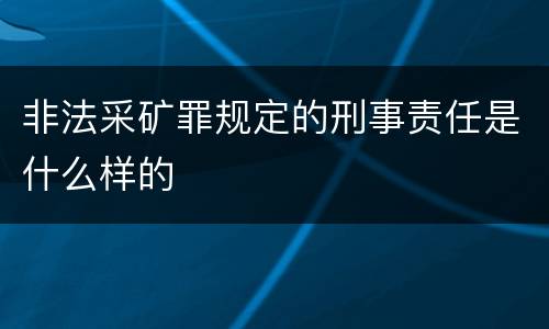 非法采矿罪规定的刑事责任是什么样的