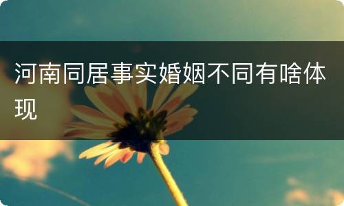 河南同居事实婚姻不同有啥体现