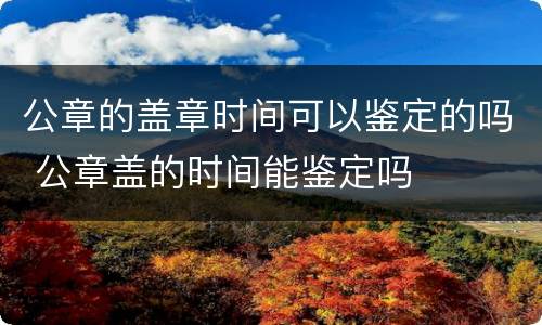 公章的盖章时间可以鉴定的吗 公章盖的时间能鉴定吗