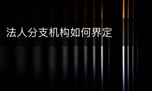 法人分支机构如何界定
