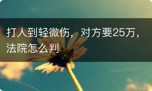 打人到轻微伤，对方要25万，法院怎么判