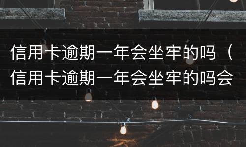 信用卡逾期一年会坐牢的吗（信用卡逾期一年会坐牢的吗会坐牢吗）