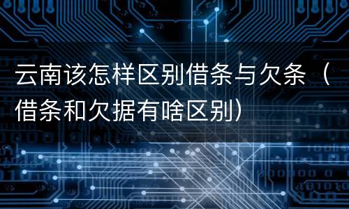 云南该怎样区别借条与欠条（借条和欠据有啥区别）