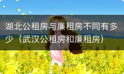 湖北公租房与廉租房不同有多少（武汉公租房和廉租房）